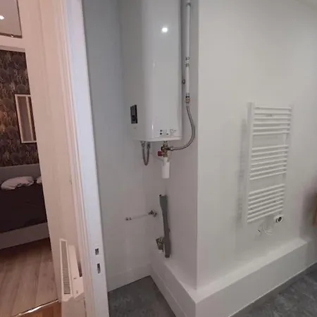 Proche Gare Part-dieu Apartment *